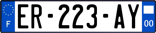 ER-223-AY
