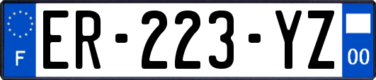 ER-223-YZ