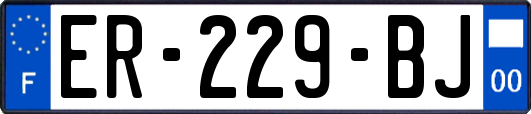 ER-229-BJ