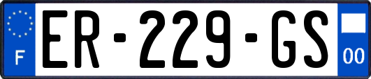 ER-229-GS