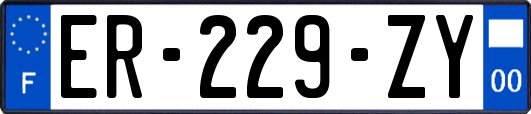 ER-229-ZY