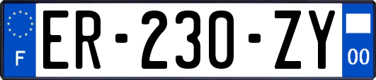 ER-230-ZY