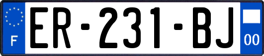 ER-231-BJ