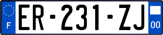 ER-231-ZJ
