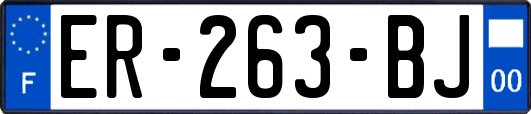 ER-263-BJ