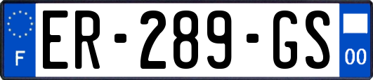 ER-289-GS