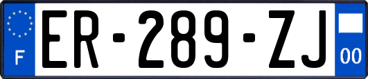 ER-289-ZJ