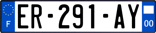 ER-291-AY
