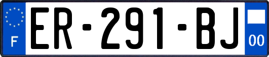 ER-291-BJ