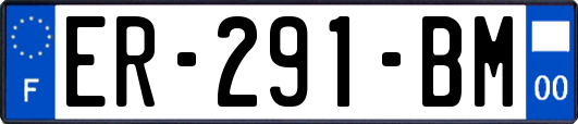 ER-291-BM