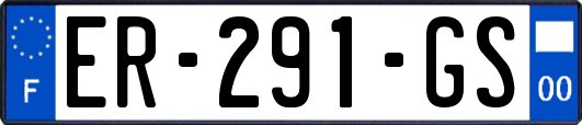 ER-291-GS