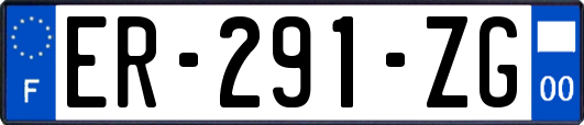 ER-291-ZG