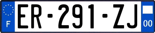 ER-291-ZJ