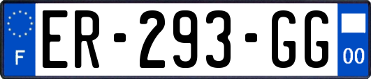 ER-293-GG
