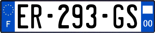ER-293-GS