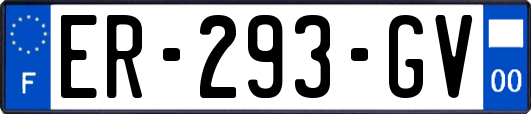 ER-293-GV