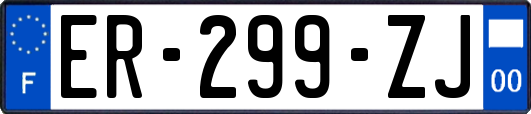 ER-299-ZJ