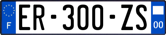 ER-300-ZS