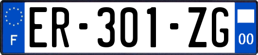 ER-301-ZG