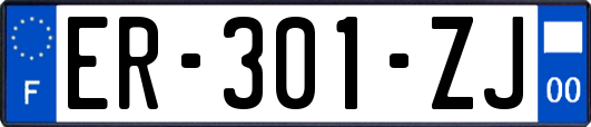 ER-301-ZJ