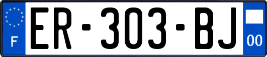 ER-303-BJ