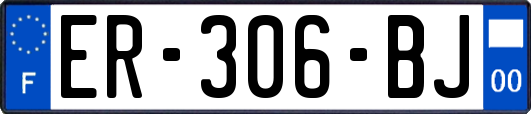 ER-306-BJ