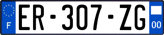 ER-307-ZG