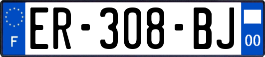 ER-308-BJ