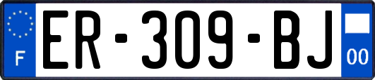 ER-309-BJ