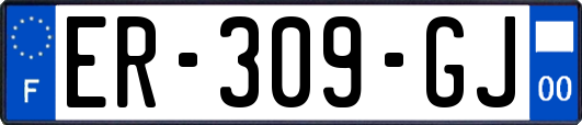 ER-309-GJ