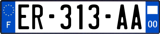 ER-313-AA