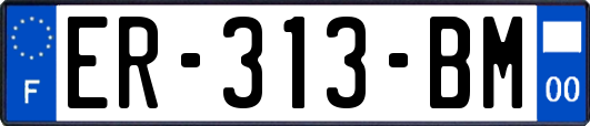 ER-313-BM