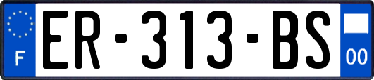 ER-313-BS