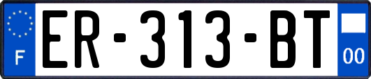 ER-313-BT