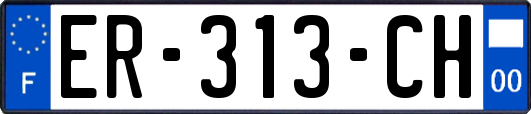 ER-313-CH