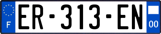 ER-313-EN