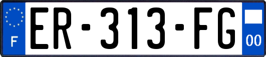 ER-313-FG