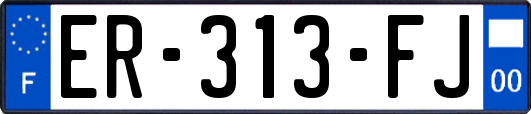 ER-313-FJ
