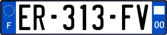 ER-313-FV