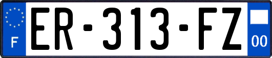 ER-313-FZ