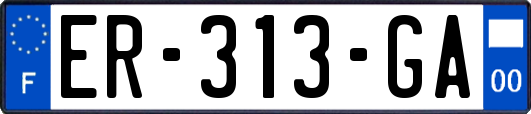 ER-313-GA