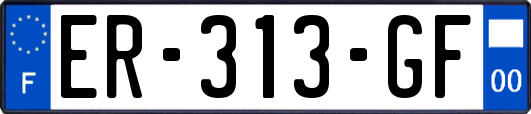 ER-313-GF