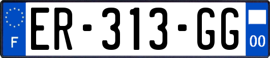 ER-313-GG