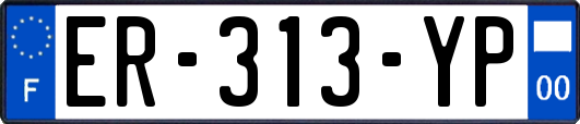 ER-313-YP