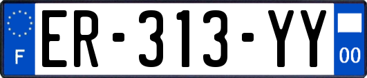 ER-313-YY