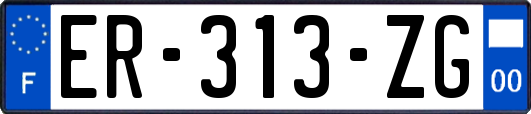 ER-313-ZG