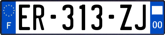 ER-313-ZJ
