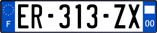 ER-313-ZX