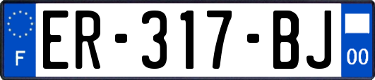 ER-317-BJ