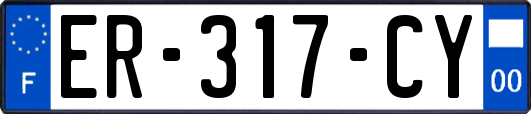 ER-317-CY
